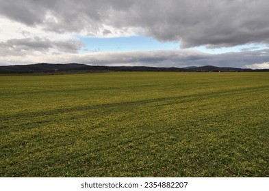 Flat agricultural landscape near Slezské Rudoltice (Czech Republic)