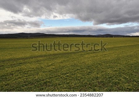 Flat agricultural landscape near Slezské Rudoltice (Czech Republic)