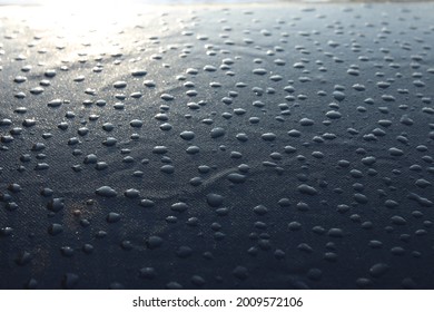 Flat beads of water on leathery surface and sunshine glare