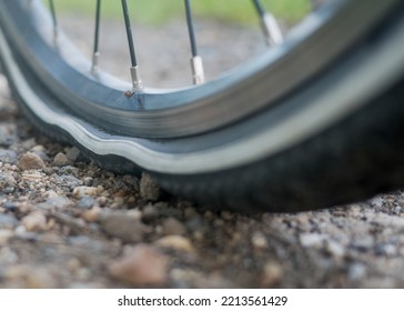 Flat Bike Tire. A Mosquito Sits On A Broken Bicycle Wheel.