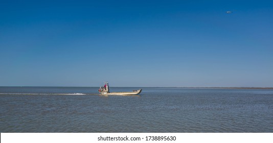 Flat Bottom Boat For Collecting Oysters.