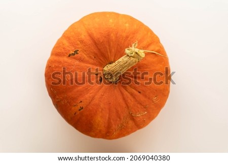 Flat composition orange pumpkin on a white background. from above