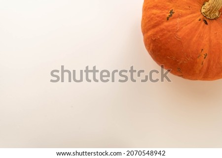 Flat composition of pumpkin on a white background. blank for advertising. place under the text