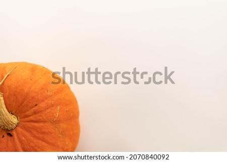 Flat composition of pumpkin on a white background. blank for advertising. place under the text