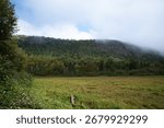 flat grass clearing surrounded by dense forest and towering cliffs at Sleeping Giant Provincial Park in Ontario, Canada.