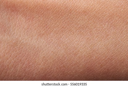 Flat human brown skin close up. Detail lines on woman skin