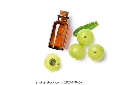 Flat lay of Amla (Indian gooseberry) essential oil extract in amber bottle with fruits and leaf on white background.