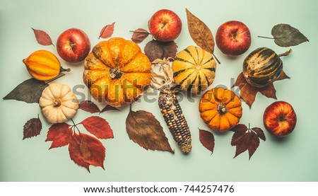 Similar – Autumn still life with pumpkin and leaves