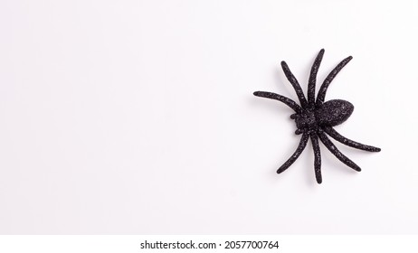 Flat Lay Banner Of One Black Horror Spiders On White Backdrop With Copy Space. Halloween Decoration Spooky Background Concept For Holidays.