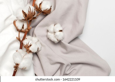 Flat lay Beautiful cotton branch, white and gray fabric on gray background top view copy space. Natural cotton fabric texture. Delicate white cotton flowers. Light cotton background. Eco textiles