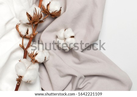 Flat lay Beautiful cotton branch, white and gray fabric on gray background top view copy space. Natural cotton fabric texture. Delicate white cotton flowers. Light cotton background. Eco textiles