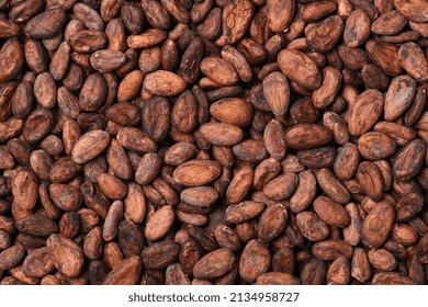 Flat lay of Cocoa beans texture background. 