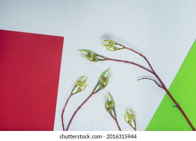 Flat lay of colored paper of light blue, green and burgundy colors and two twigs with tender leaves among them. Colored paper and botanical textures.