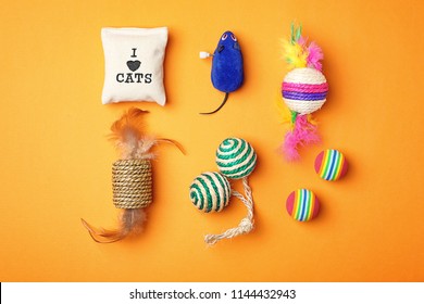 Flat lay composition with accessories for cat on color background. Pet care