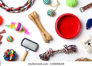 Flat lay composition with accessories for cat and dog on white background. Pet care