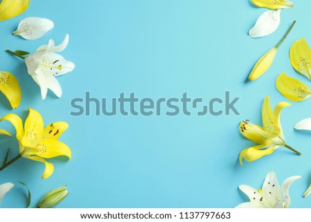 Flat lay composition with beautiful blooming lily flowers on color background
