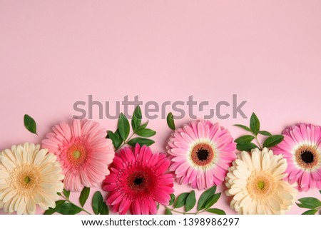 Flat lay composition with beautiful bright gerbera flowers on color background, top view. Space for text