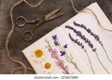 Flat lay composition with beautiful dried flowers and book on wooden table