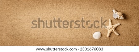 Flat lay composition with beautiful starfishes and sea shells on sand top view, space for text, web banner