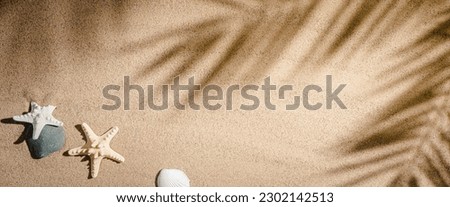 Flat lay composition with beautiful starfishes, stones and sea shells on sand with palm leaves and shadowes top view, space for text, web banner