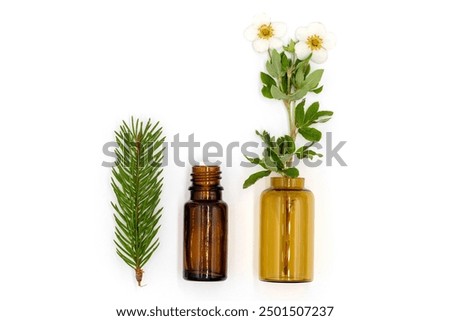 Flat lay composition with bottles of cosmetic ingredients, tea tree essential oil, rose, lavender, fir sprig, medicinal plants and flowers on white background, top view