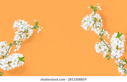 Flat lay composition of cherry blossom branches framing a pastel orange surface.