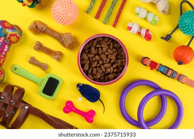 Flat lay composition with different pet goods on yellow background. Shop assortment