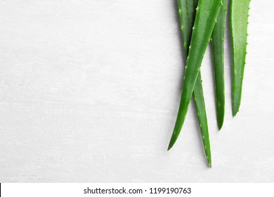 Flat lay composition with fresh aloe vera leaves and space for text on light background