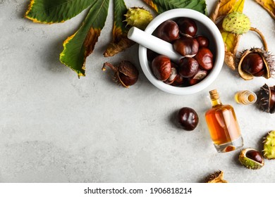 Flat lay composition with fresh horse chestnuts and extract on grey table. Space for text