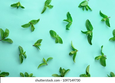 Стоковая фотография: Плоская композиция со свежими листьями мяты на цветном фоне