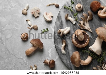 Flat lay composition with fresh wild mushrooms on light grey table