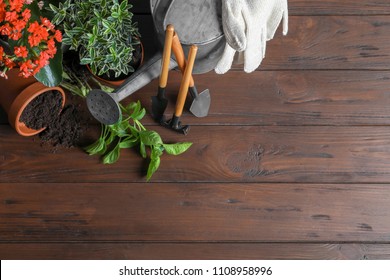 Flat lay composition with gardening tools and plants on wooden background