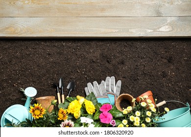 Flat lay composition with gardening tools and flowers on soil, space for text