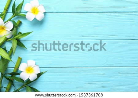 Flat lay composition with green bamboo stems on blue wooden background. Space for text
