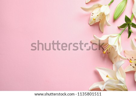 Flat lay composition with lily flowers on color background