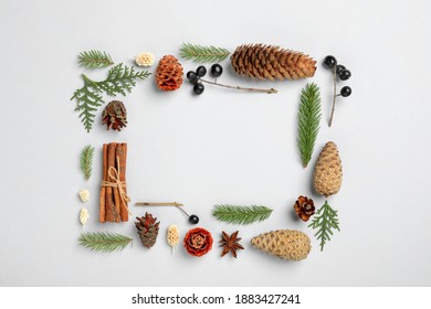 Flat lay composition with pinecones on white background. Space for text
