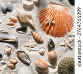 Flat lay composition of various beautiful sea shells and starfish arranged on white beach sand.