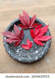 A flat lay composition of vivid red maple leaves arranged aesthetically on a dark, speckled stone plate.
