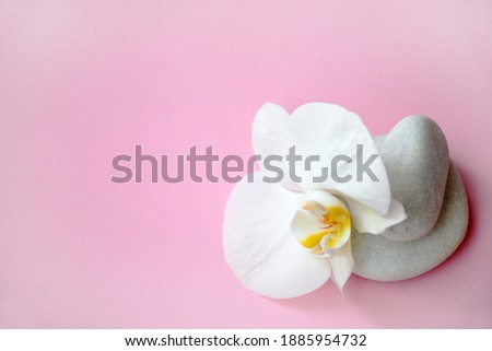 Flat lay composition with white spa stones and beautifull white orchid with space for text on pink background. Meditation and minimalism. copyspase flatlay.