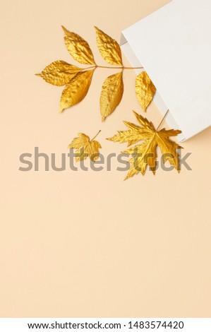 Autumn leaves with watering can and garden tools