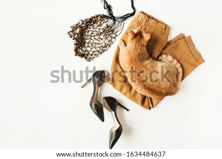 Flat lay fashion collage with women modern clothes, accessories, ginger cat on white background. Pants, high-heels, string bag. Top view concept for blog, social media, magazine.