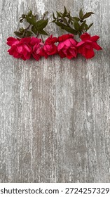 Flat Lay Of Five Hot Pink Roses With Clipped Stems And Dark Green Leaves Lined Up Horizontally On Their Sides Next To Each Other On Top Of A Grey And White Patterned Surface