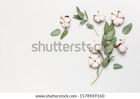 Flat lay flowers composition. Cotton flowers and fresh eucalyptus twigs on light gray background. Top view, copy space. Delicate white cotton flowers. Floral background, greeting card