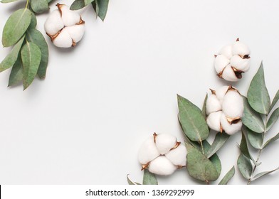 Flat lay flowers composition. Frame made of cotton flowers and fresh eucalyptus twigs on light gray background. Top view, copy space. Delicate white cotton flowers. Floral background, greeting card