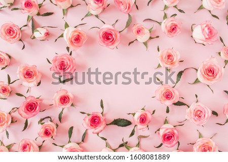 Flat lay frame border with blank copy space mockup made of pink rose flower buds on pink background. Top view floral concept.