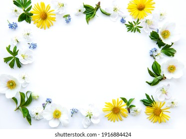 Flat lay frame with spring flowers, leaves and petals isolated on white background. Top view