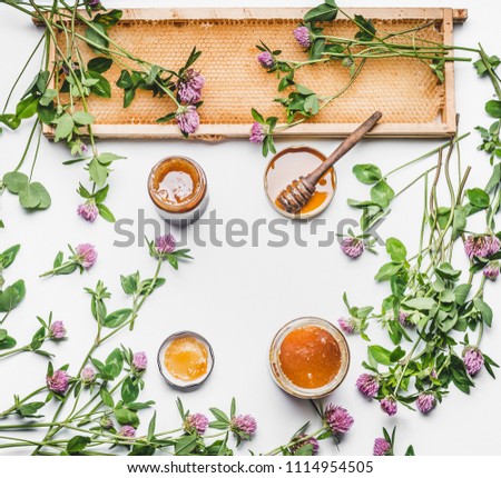 Similar – Image, Stock Photo Honey in glass with honeycomb and blossoms