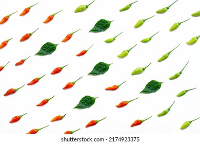 Flat lay of green and red chilli on white background. - Shutterstock ID 2174923375