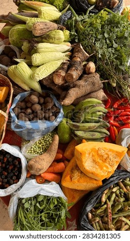 Flat lay high-angle composition of diverse fresh agricultural produce including corn cobs, cassava roots, plantains, potatoes, squash wedges, berries, carrots, and leafy green herbs gathered at an organic farmers market.