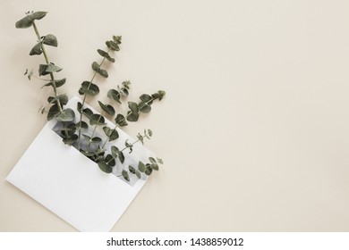 Flat lay of leaves with copyspace
